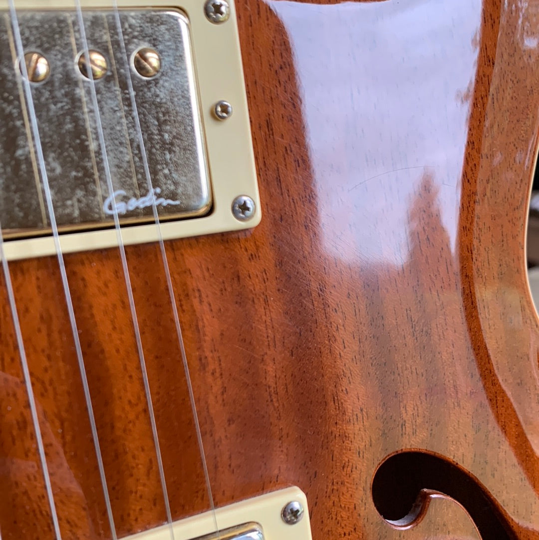 2004 Godin Montreal Two 2 Voice Acoustic Electric Semi-Hollow Guitar -- Solid Mahogany, Hybrid