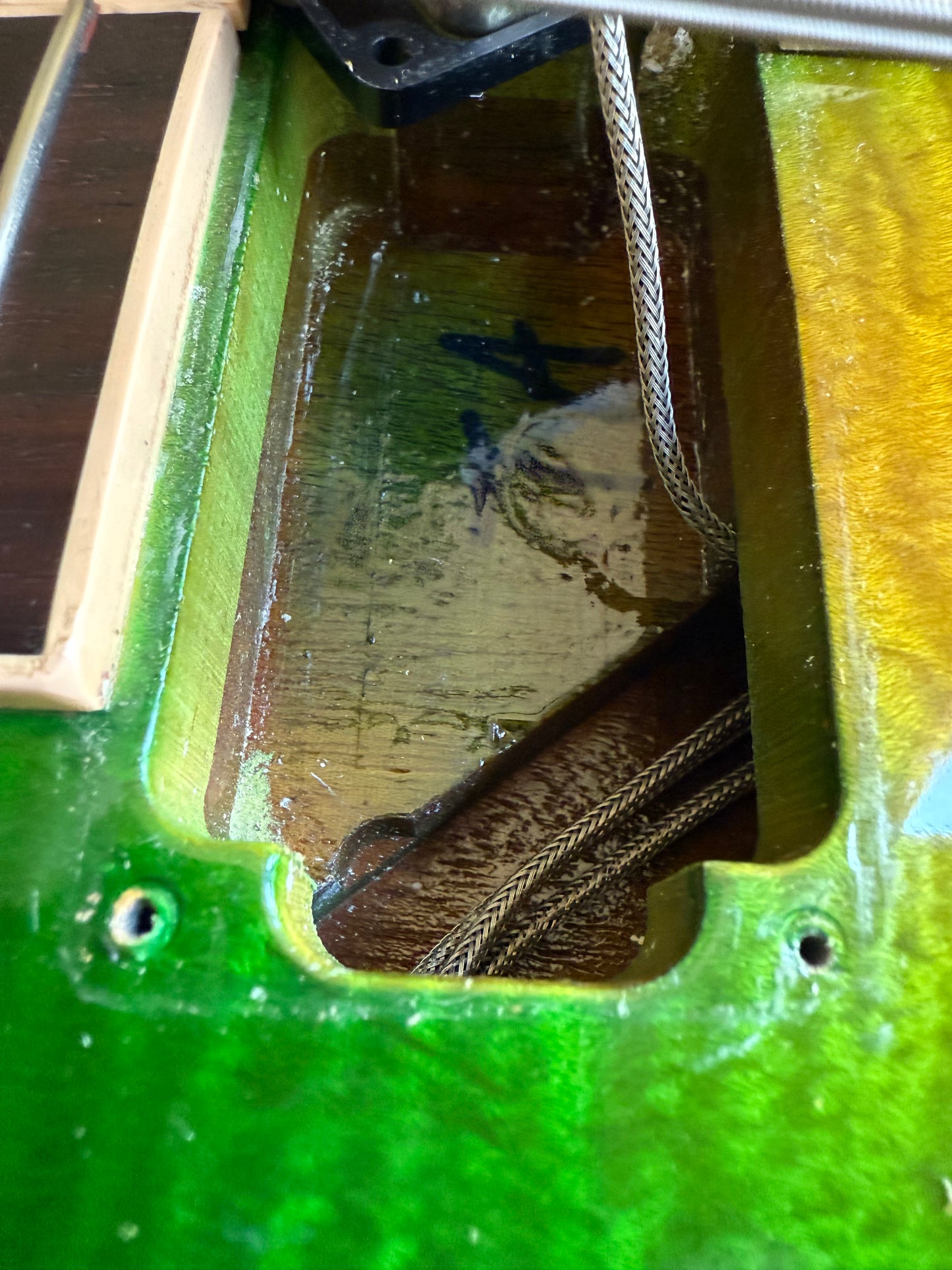 Gibson Les Paul Standard HP 2016 IGUANA BURST Crazy Top! UNIQUE GUITAR! 2016 high performance