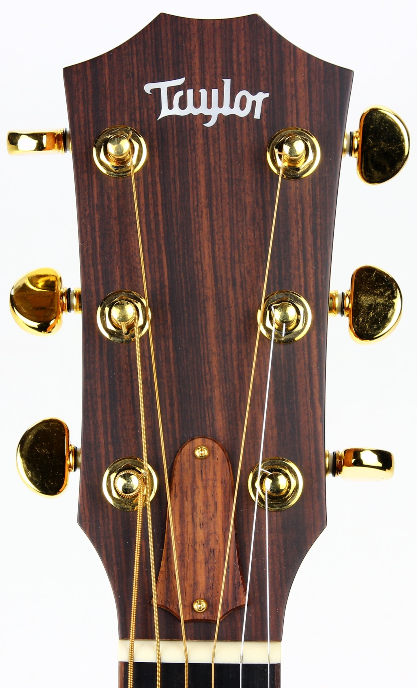Taylor Guitar Headstock