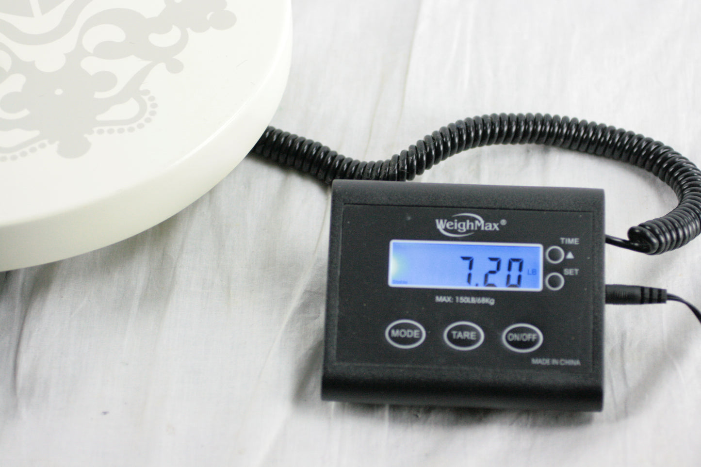 NOS 2010 Gibson Melody Maker Les Paul Jonas Brothers Ebony Board Signed Autograph