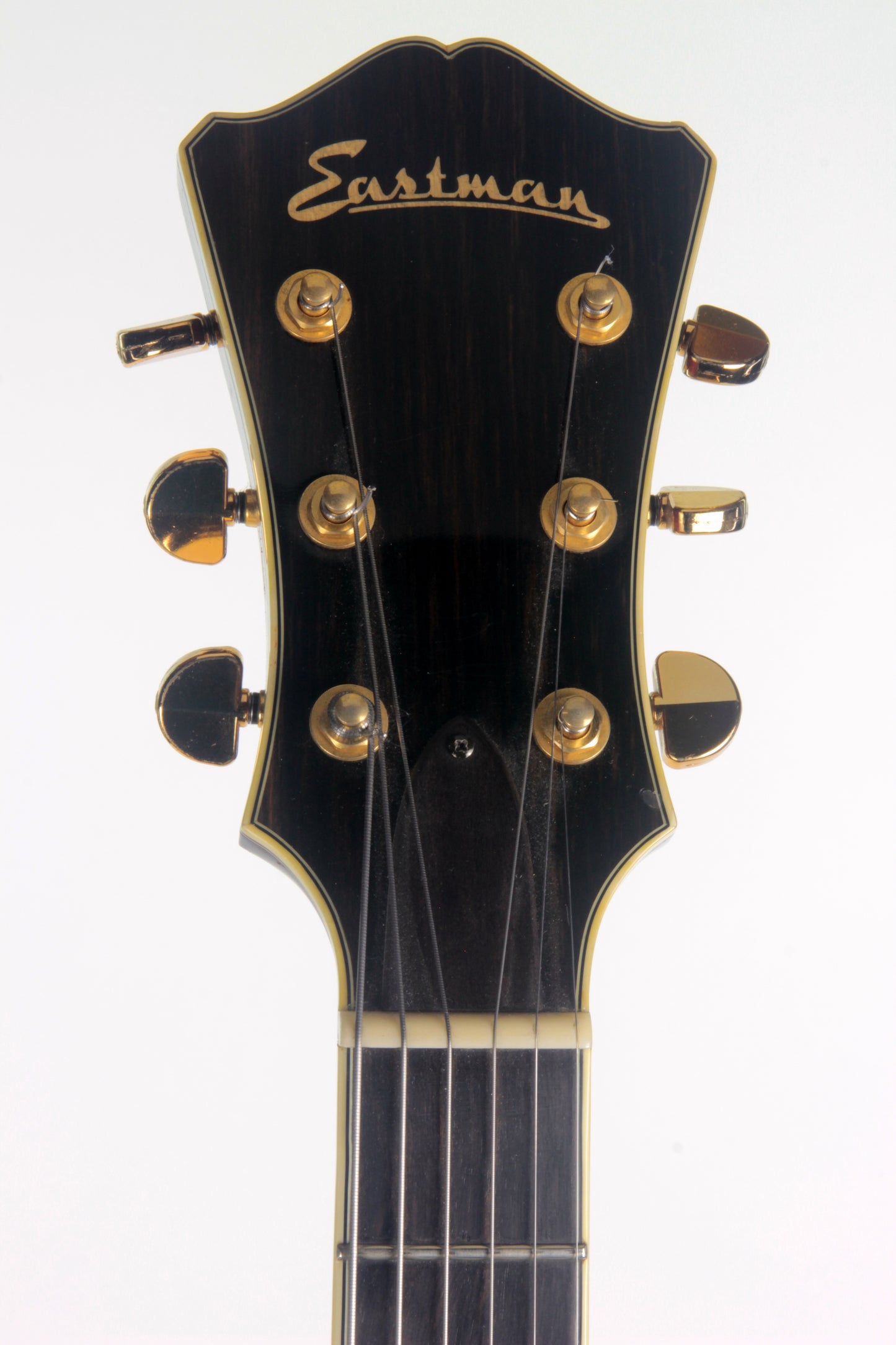2008 Eastman T165 SX Spruce Top Thinline Semi Hollowbody Guitar! Rare Model