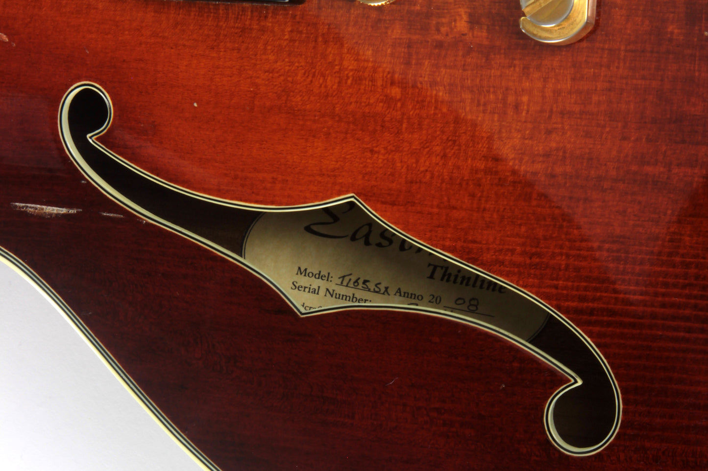 2008 Eastman T165 SX Spruce Top Thinline Semi Hollowbody Guitar! Rare Model