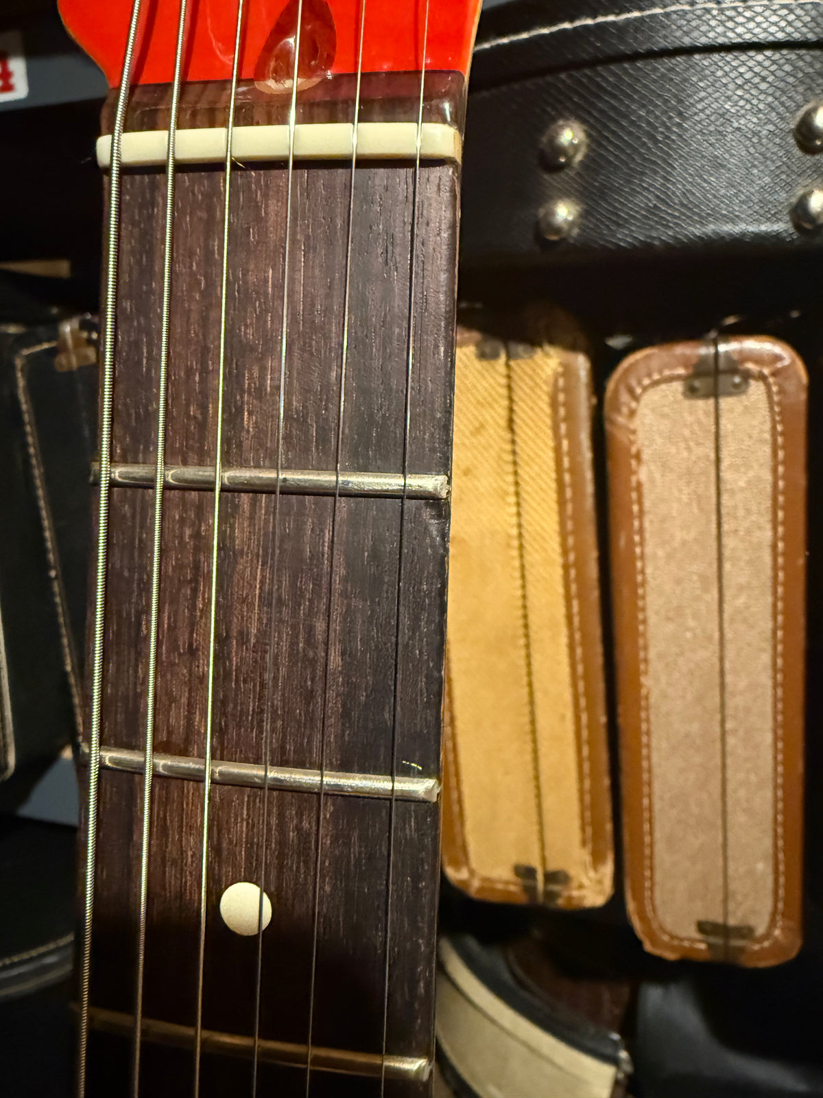 2001 Fender American 90's Telecaster Thinline DOUBLE BOUND TORTOISE Made in USA, ONE-OFF! Matching Headstock!