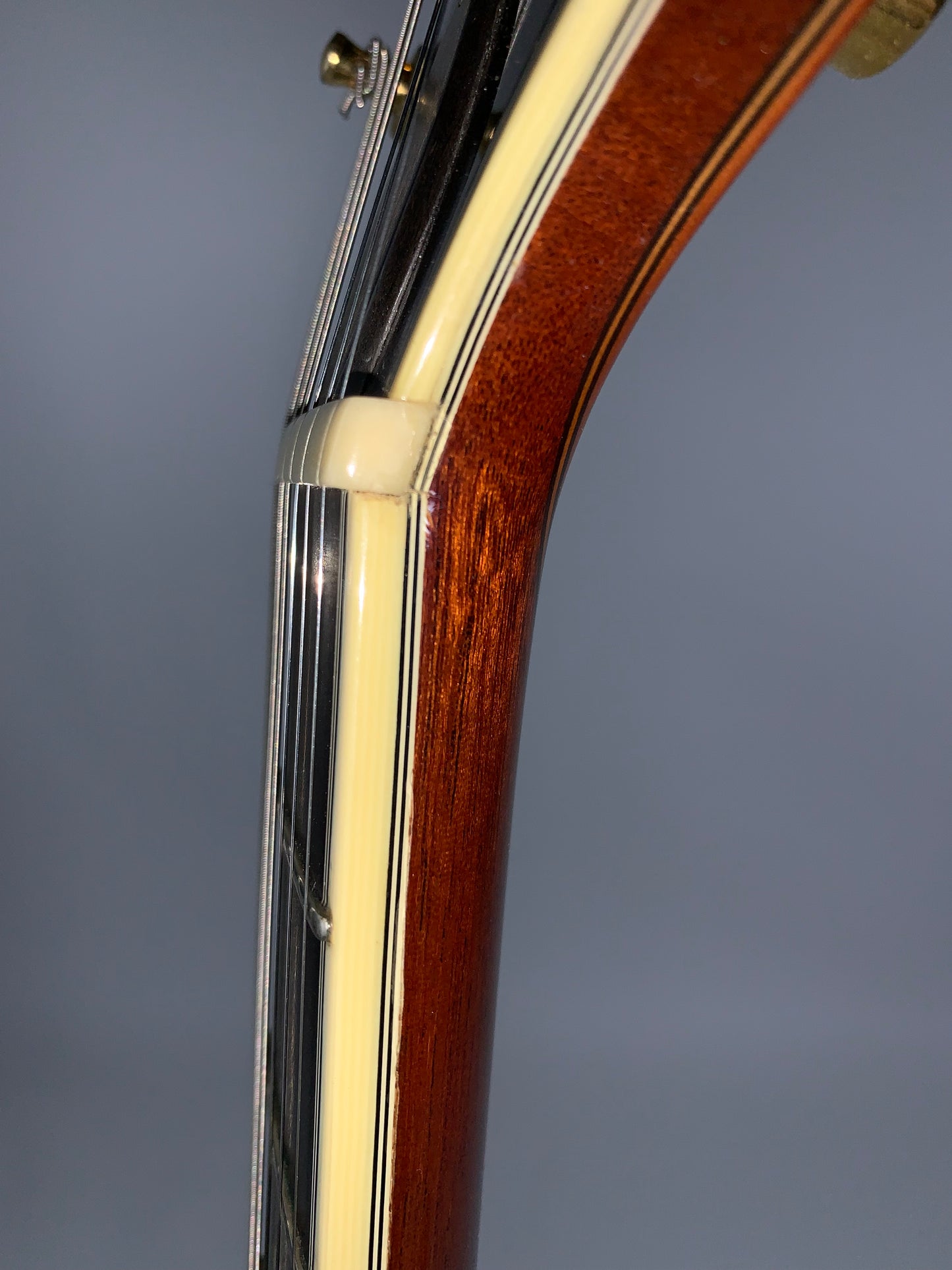 2001 Tom Ribbecke Testadura Goldtop - Masterbuilt w Brazilian Rosewood Center Block & Sides