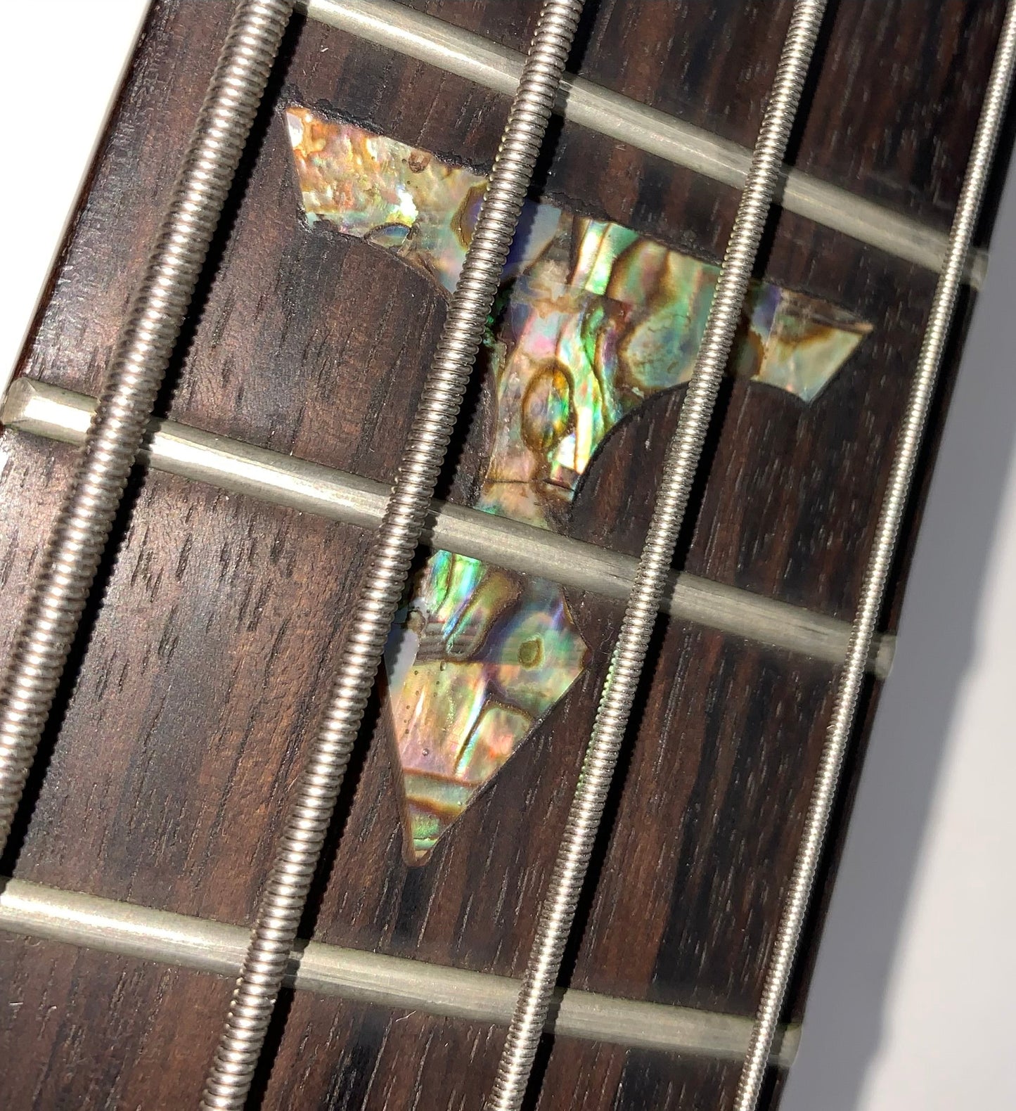 Traben Chaos Obsession NT Neck-Through Bass Guitar w Hard Case