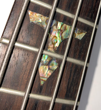 Traben Chaos Obsession NT Neck-Through Bass Guitar w Hard Case