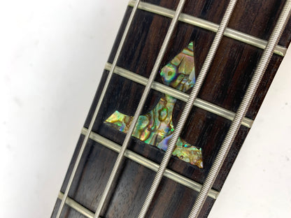 Traben Chaos Obsession NT Neck-Through Bass Guitar w Hard Case