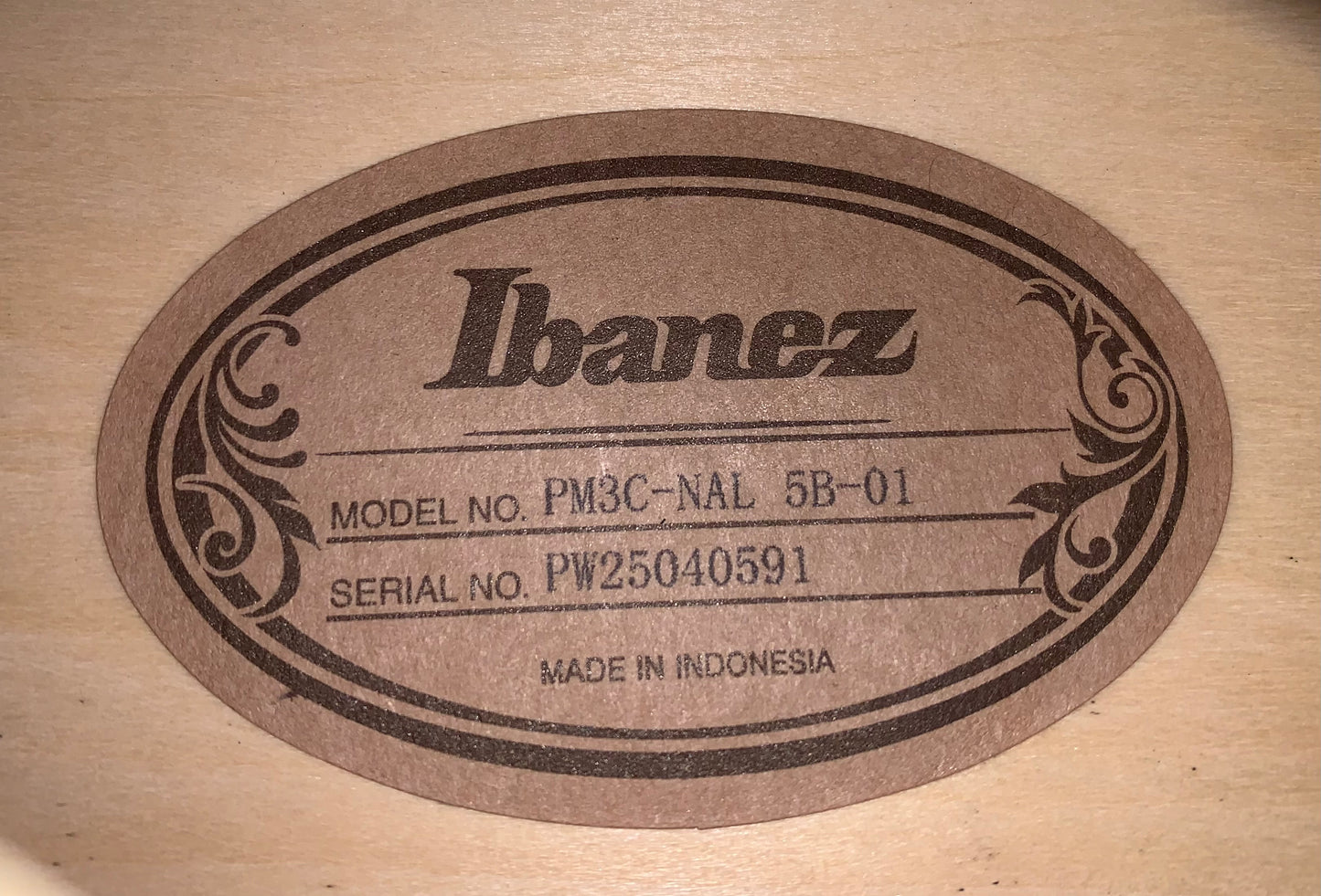 Ibanez PM3C NAL Pat Metheny Archtop Electric Charlie Christian Pickup Natural