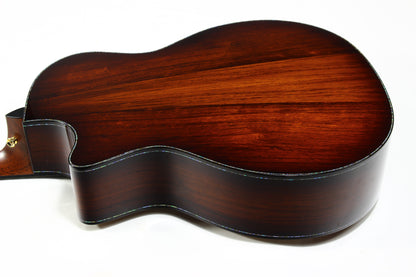 2024 Taylor PS-14CE Presentation Series Sinker Redwood Honduran Rosewood