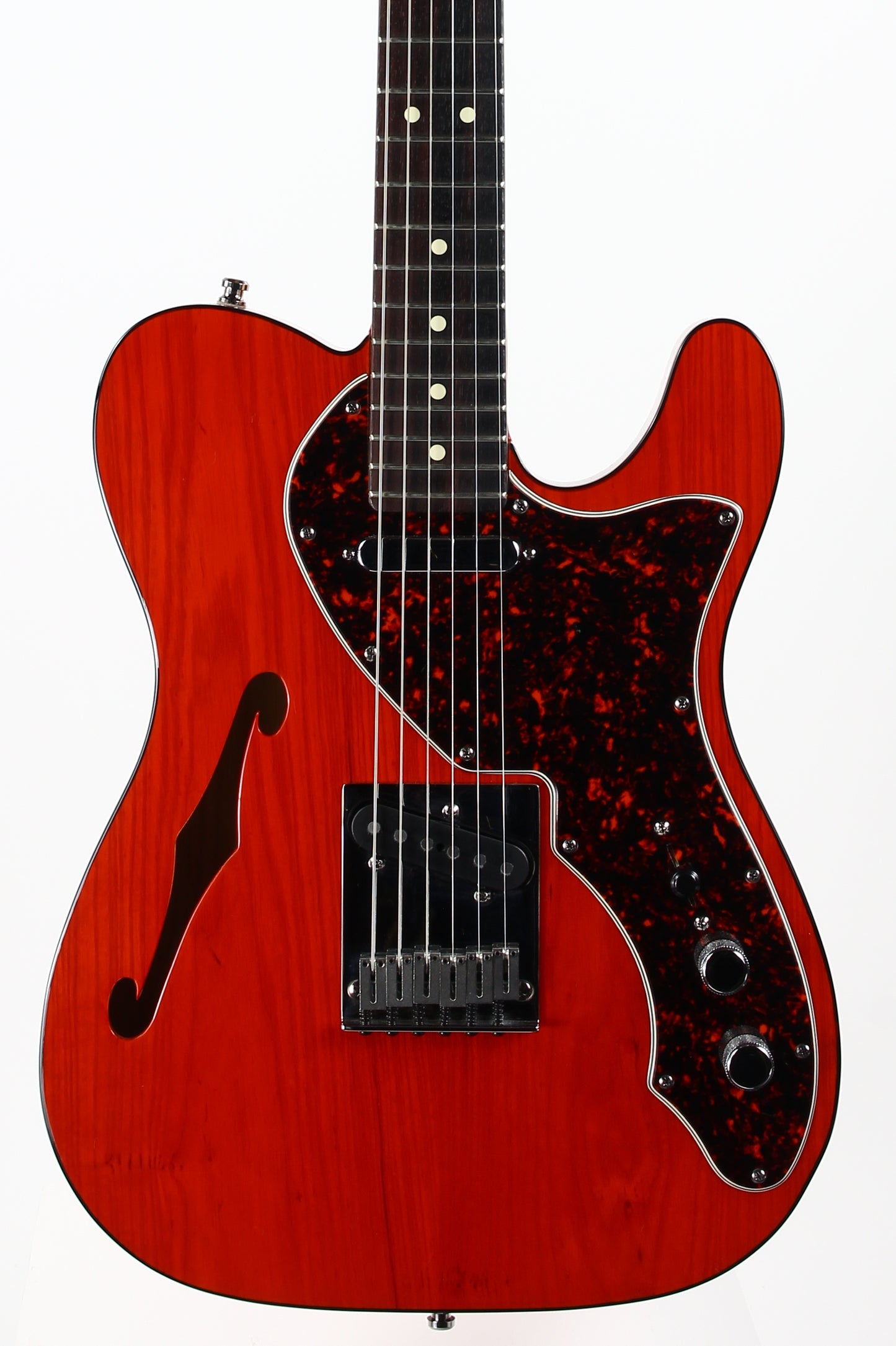 2001 Fender American 90's Telecaster Thinline DOUBLE BOUND TORTOISE Made in USA, ONE-OFF! Matching Headstock!