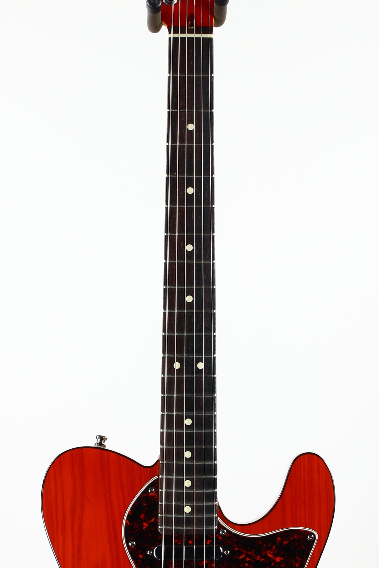 2001 Fender American 90's Telecaster Thinline DOUBLE BOUND TORTOISE Made in USA, ONE-OFF! Matching Headstock!