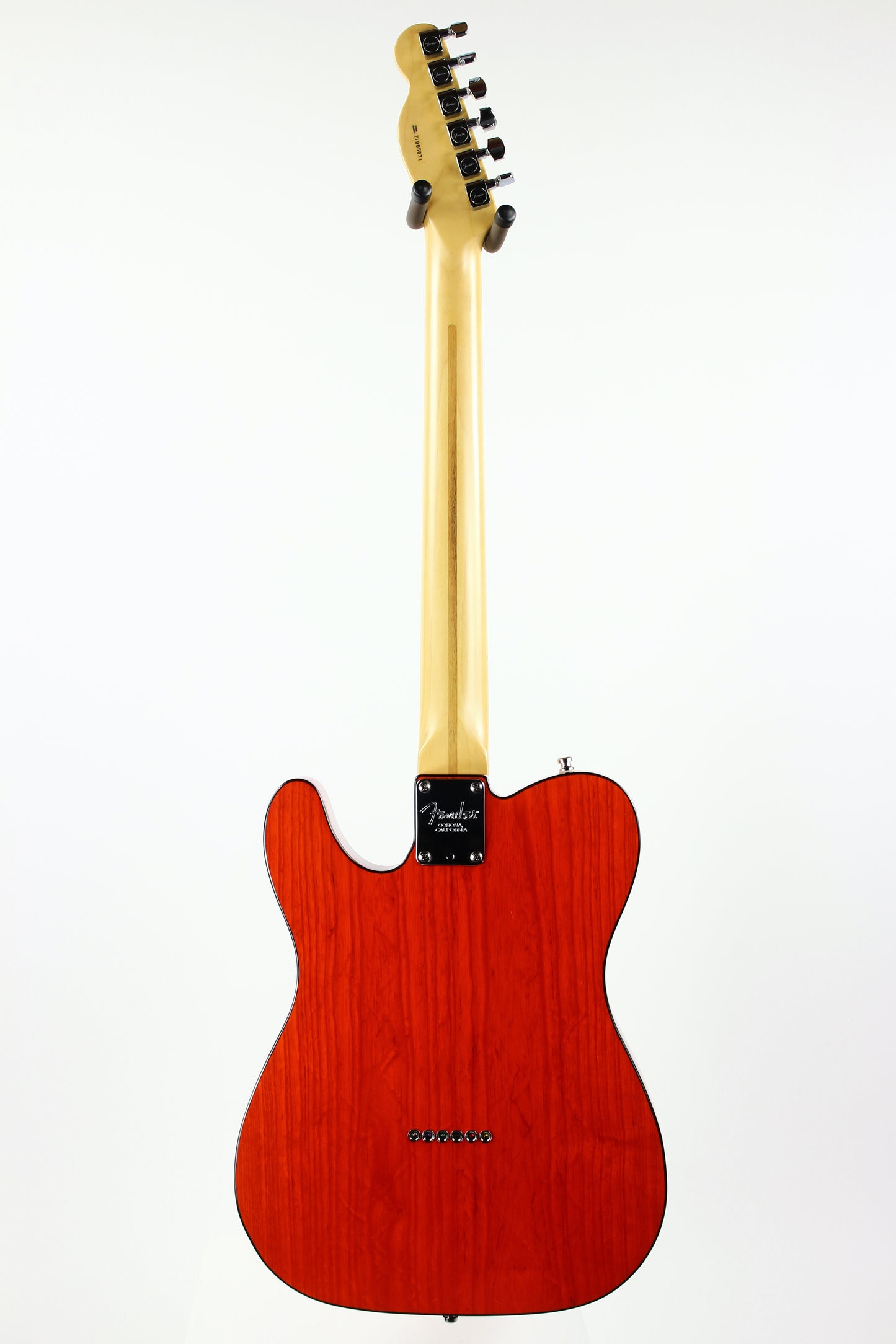 2001 Fender American 90's Telecaster Thinline DOUBLE BOUND TORTOISE Made in USA, ONE-OFF! Matching Headstock!