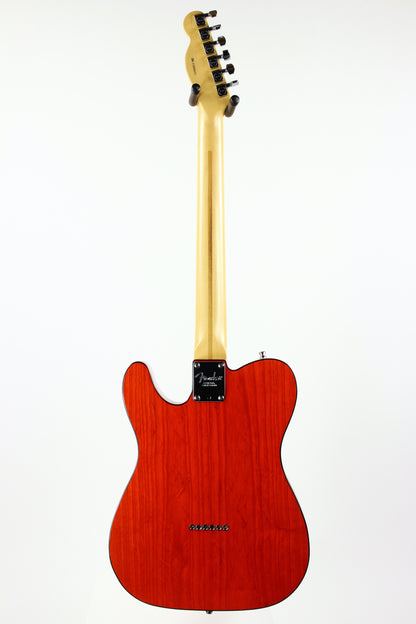 2001 Fender American 90's Telecaster Thinline DOUBLE BOUND TORTOISE Made in USA, ONE-OFF! Matching Headstock!
