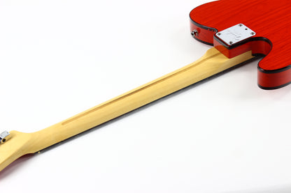 2001 Fender American 90's Telecaster Thinline DOUBLE BOUND TORTOISE Made in USA, ONE-OFF! Matching Headstock!