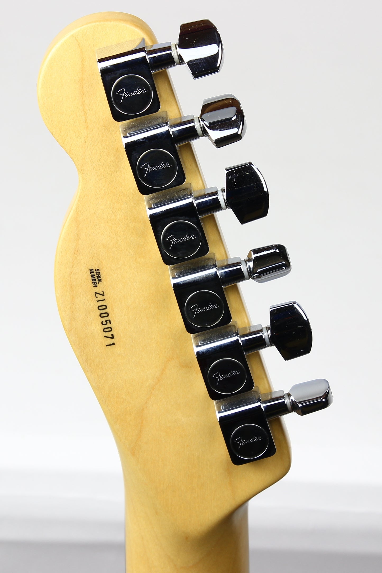 2001 Fender American 90's Telecaster Thinline DOUBLE BOUND TORTOISE Made in USA, ONE-OFF! Matching Headstock!