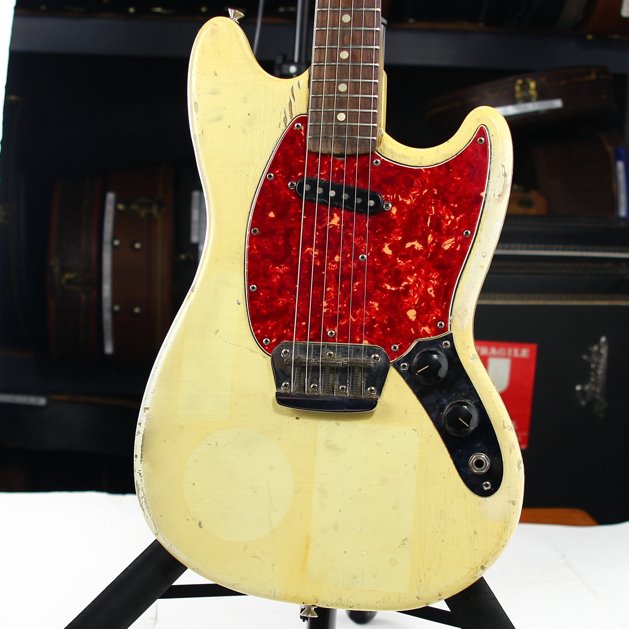 *SOLD*  1965 Fender Slab Board Musicmaster II Olympic White - Tortoise Guard, Player-Grade, Plays Awesome!