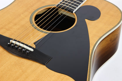 Harvey Leach Guitars Thom Bresh Legacy BRAZILIAN ROSEWOOD Merle Travis Bigsby Martin D-28 type