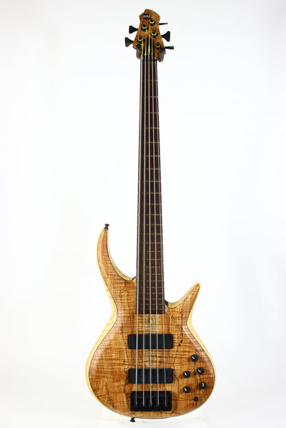 MTD Michael Tobias Designs Through Neck TN 535–24 Bass Kingston New York USA Five String Spalted Maple Bartolini Pickups