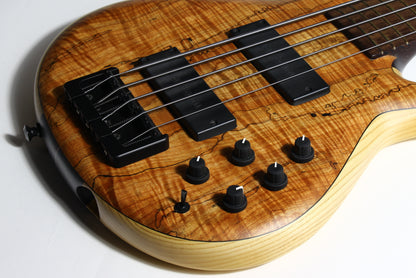 MTD Michael Tobias Designs Through Neck TN 535–24 Bass Kingston New York USA Five String Spalted Maple Bartolini Pickups