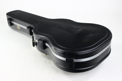 Ibanez PM3C NAL Pat Metheny Archtop Electric Charlie Christian Pickup Natural