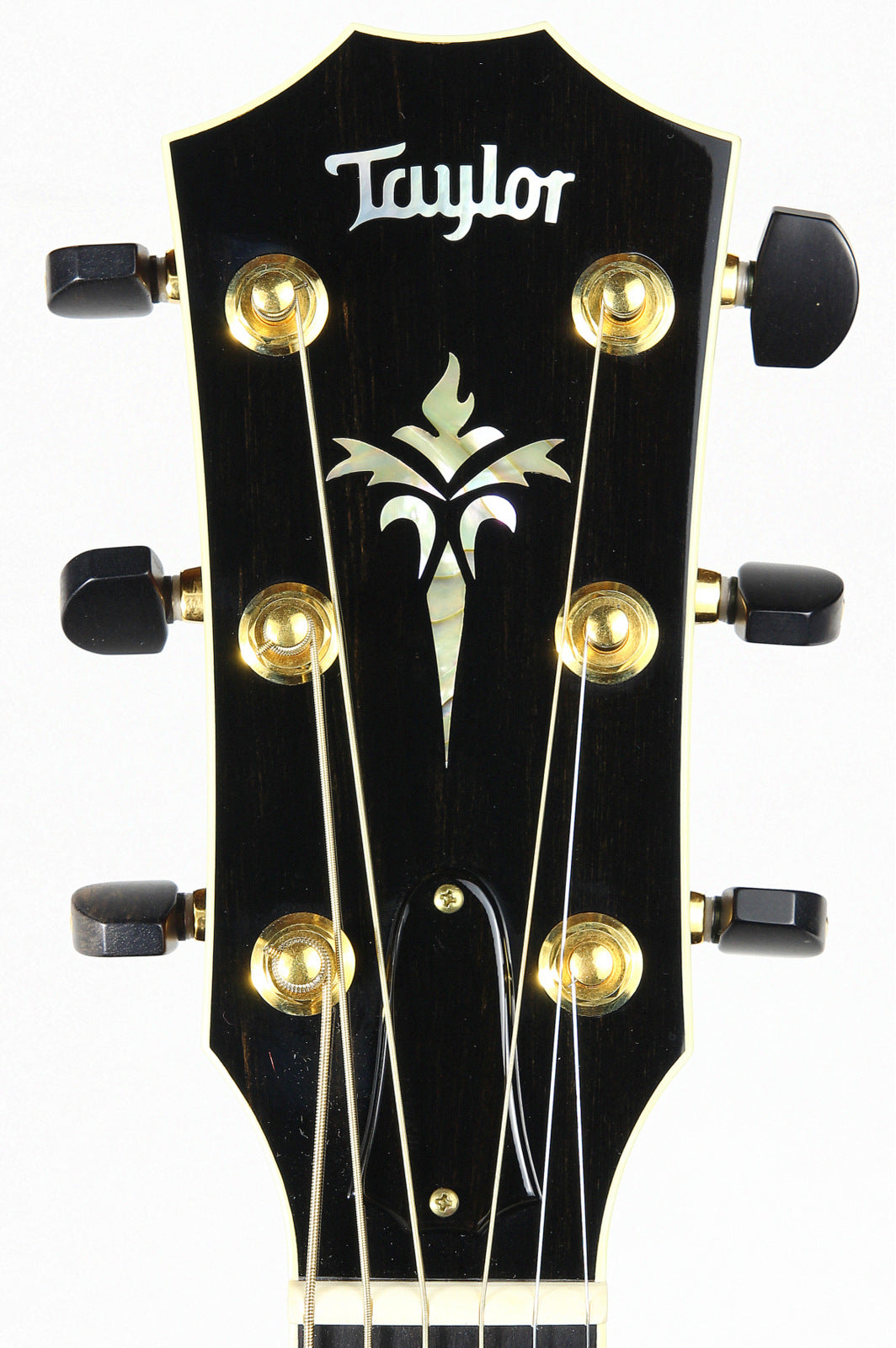 Taylor headstock with brand logo