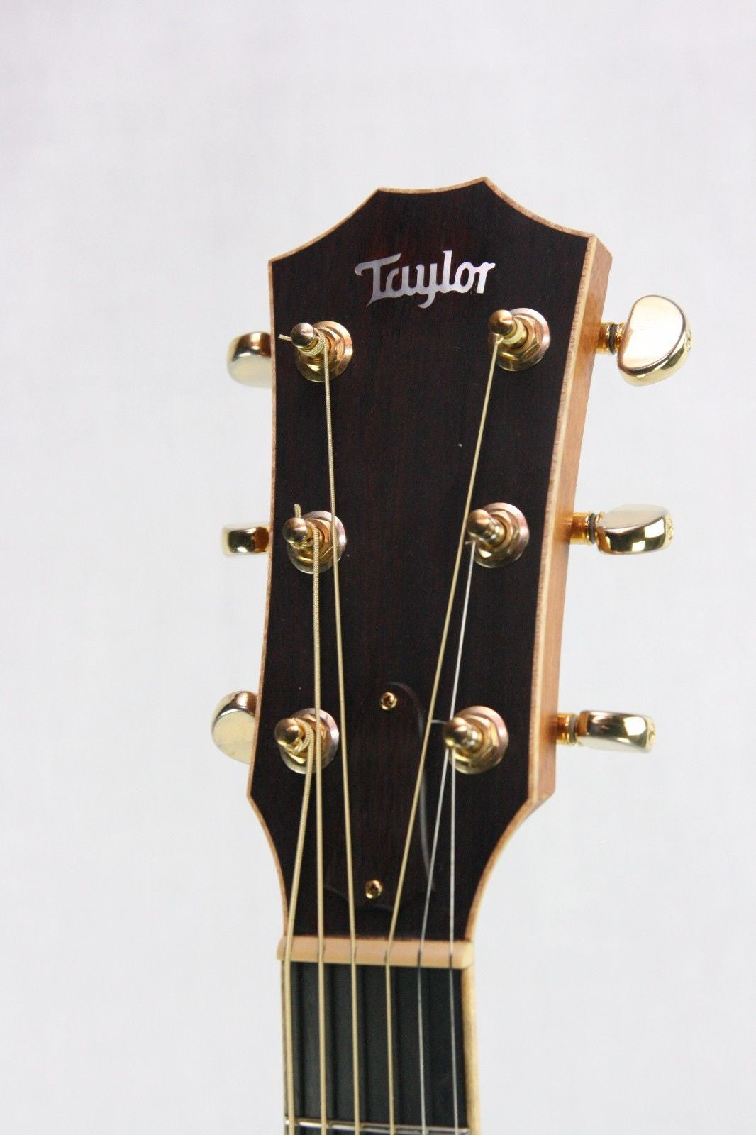 2002 Taylor 810 LTD Cocobolo! Spruce Top, Cocobolo Back/Sides, Advanced Bracing!