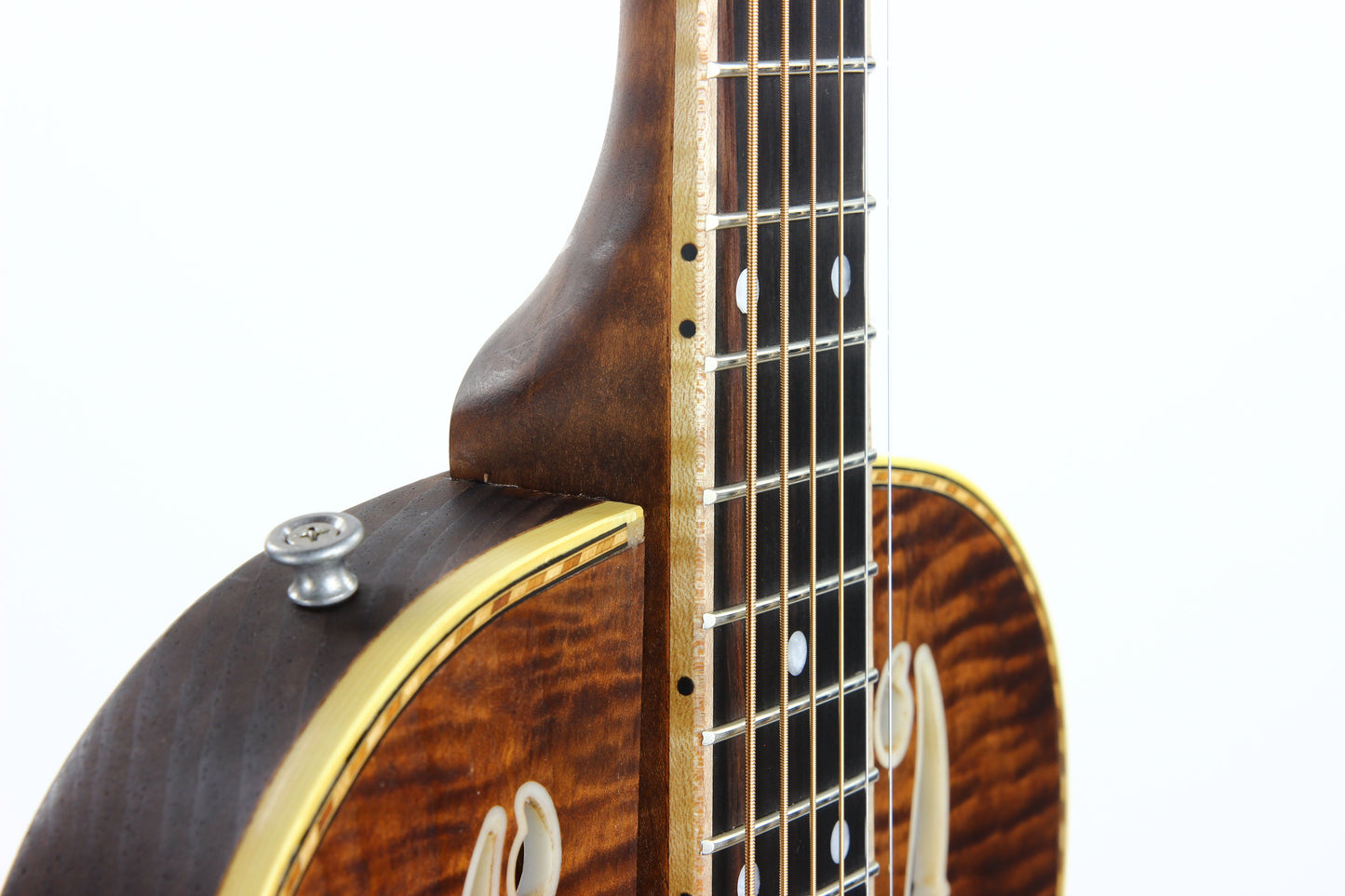 2021 Mule Resophonic MAVIS Electric Resonator - F-Hole, Flame Top & Neck, Volume/Tone Knobs!