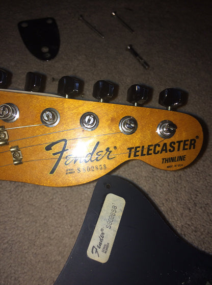 1979 Fender Telecaster Thinline Mocha Brown Finish w/ OHSC! 1970's Tele, Deluxe, Custom, Wide-Range Humbuckers!